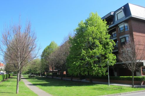 Apartamento en Las Arenas – Cristobal Valdés